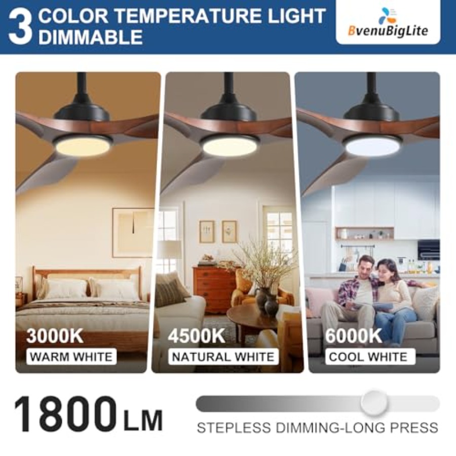 Outdoor ceiling fan with light - Outdoor Lighting Remote Control recension och pris