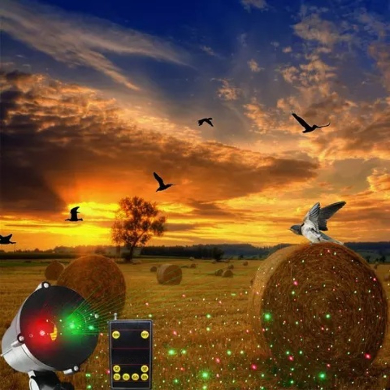 Motion   Bird Repeller with    - Outdoor Lighting Remote Control recension och pris